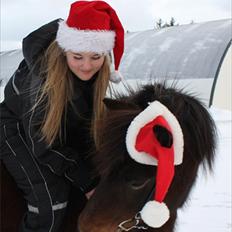 Islænder Björk fra Juelsgård