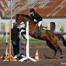 Anden særlig race Bonnie
