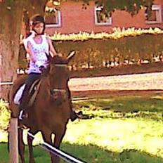 Anden særlig race Danny