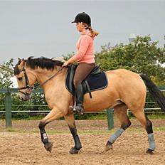 Hollandsk Sportspony Valerie (solgt 09)