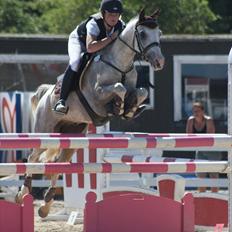 Anden særlig race Prins Abdullah