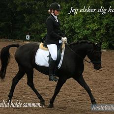 Anden særlig race Prins <3