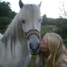 Islænder <3 Twister/Twistur <3
