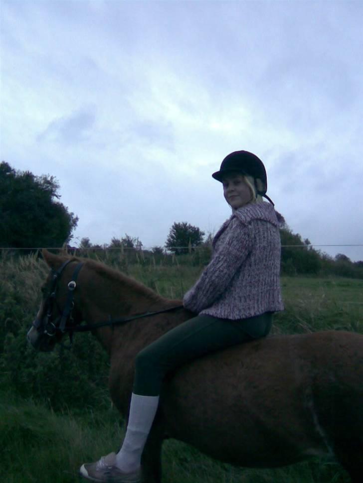 Anden særlig race Emma (R.I.P D':) - En lille tur uden sadel op fra sommerfolden ;) Fotograf: Mia billede 4