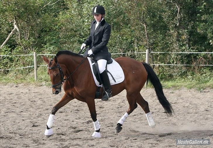 Traver Stella soulmate<3 pension R.I.P - første la1 4sep 2010 billede 4