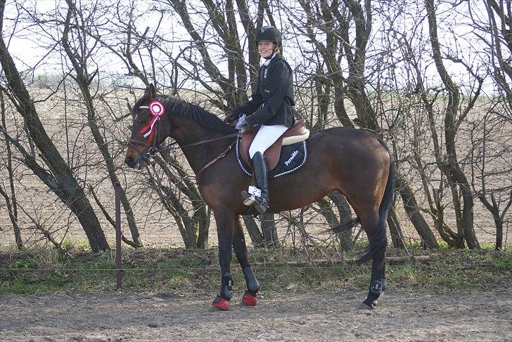 Anden særlig race Bonnie - til nibe cup 2008 billede 1