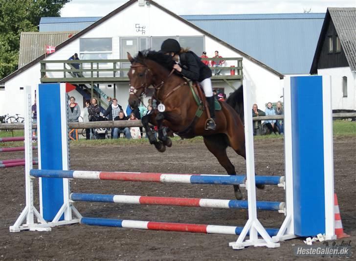 Anden særlig race Bonnie - Billed: Nadiiih...     Lb i gedsted billede 2
