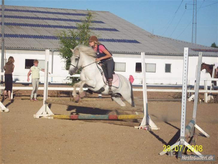 Islænder Fenja Fra Frijsbak - træning rytterlejr 2008 (se hende lige) billede 12