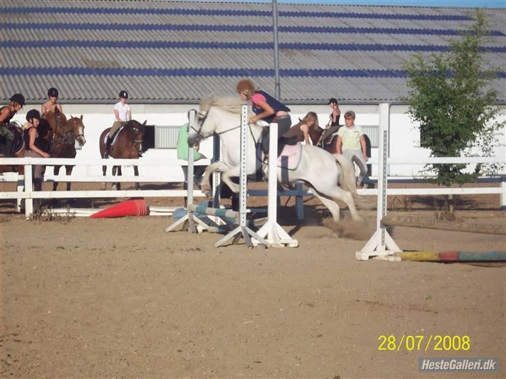 Islænder Fenja Fra Frijsbak - træning spring rytterlejr  2008 springer ikke særlig højt ( men se hendes spring teknik fantastisk) billede 13