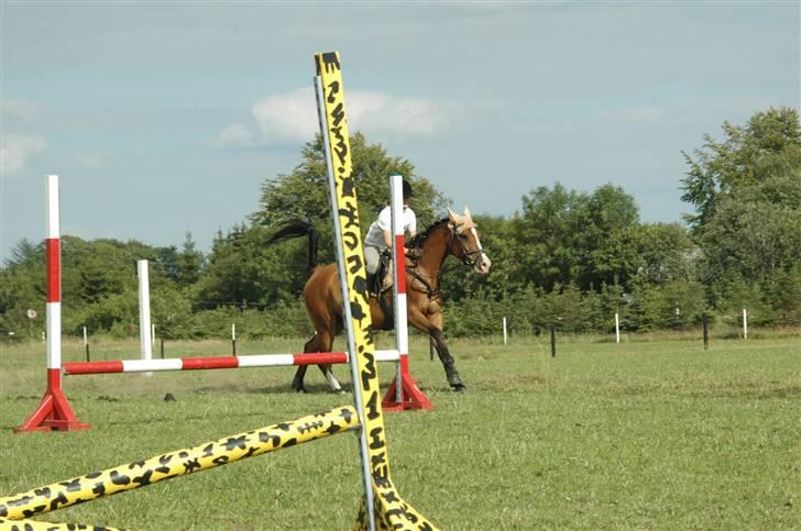 Anden særlig race /Araber Cheval - Wee.. Ponygames - Cheval elsker at løbe stærkt ! Se halen :P <3 billede 13