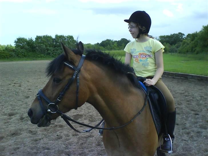 Anden særlig race Felex SOLGT billede 5