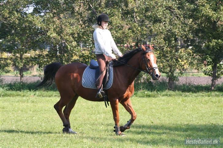 Anden særlig race robin<3  (gl.paret) billede 5