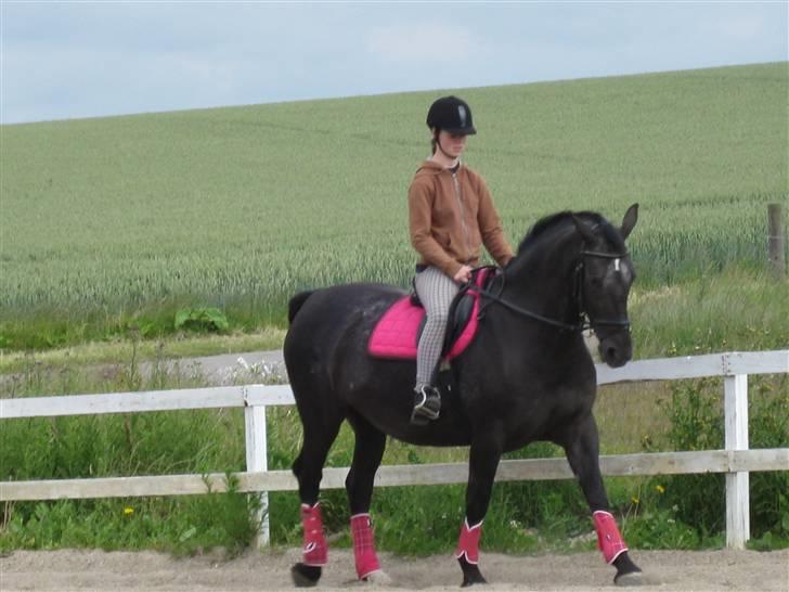 Anden særlig race Noir De Monique <3  R.I.P - Monique 19/6-09, Tredje gang vi skridter efter opheling af gaffelbåndet :D, med nyt underlag og gamacher ;) billede 1