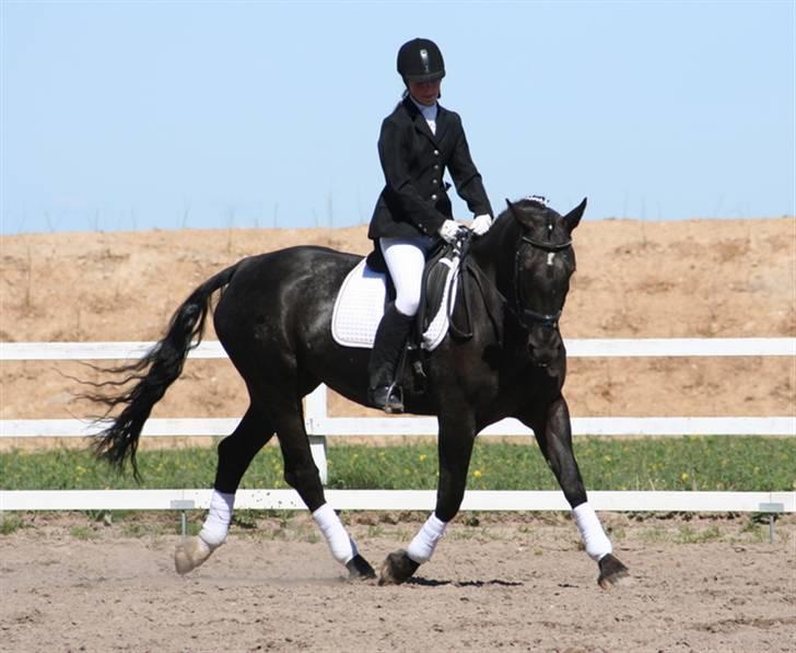 Anden særlig race Noir De Monique <3  R.I.P - Her er vi i gang med LC3 på Brændte Ege, april 2007, vi vandt klassen:) billede 3