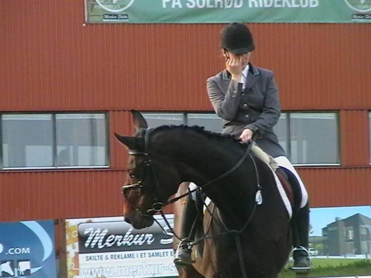 Holstener Nirvana-Vitz - Præmieoverrækkelse ved DISM D3 2008 - Hold billede 7