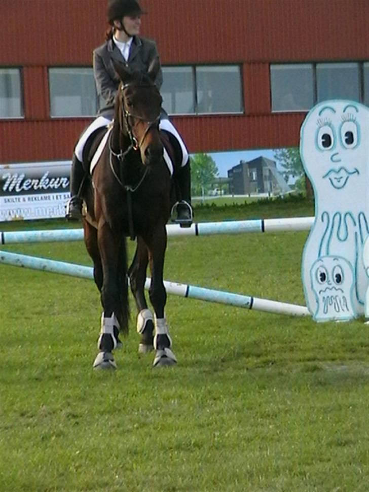 Holstener Nirvana-Vitz - Præmieoverrækkelse ved DISM D3 2008 - Hold billede 8