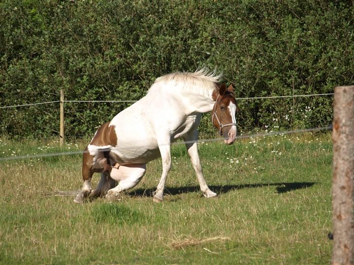 Paint Vigilia E H Surprise *RIP:'(<3* - "F**** jeg skal liii op.. ikk sån at blive gammel ;)" - Du har en speciel plads i mit hjerte :-* billede 3