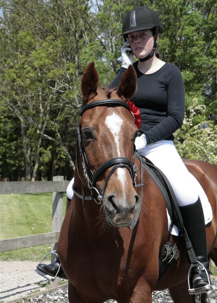 Anden særlig race May Carnation - May & Helle til stævne, LB2, HØS. Maj 2009 billede 14