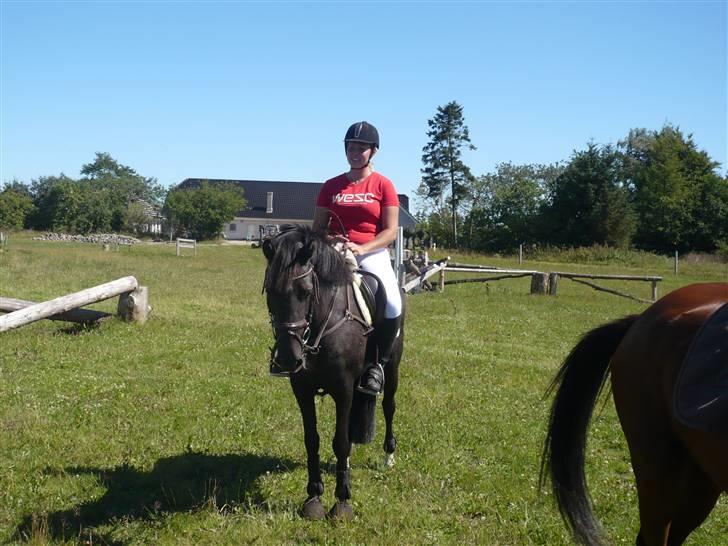 Anden særlig race Daisy *SOLGT* billede 10