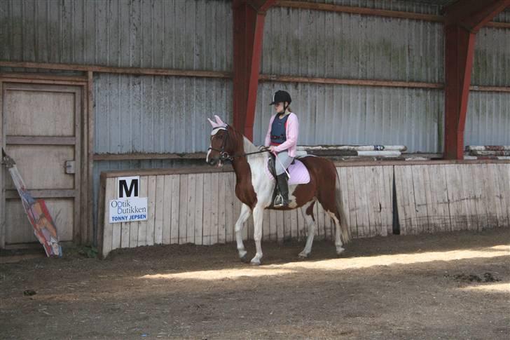 Anden særlig race Speedy (Red) - Lyserrødt XD Foto Mor billede 6