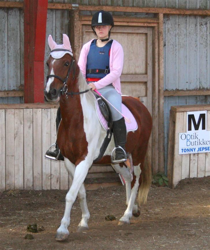 Anden særlig race Speedy (Red) - Se super glad pony vallak med lysserrødt XD Foto Mor billede 8