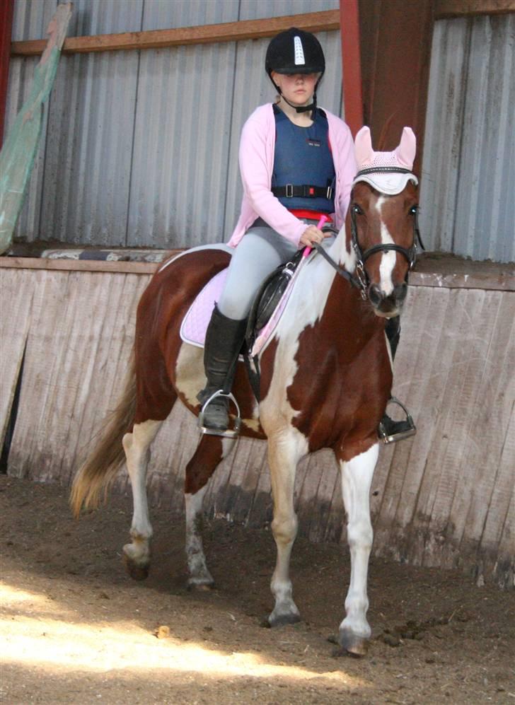 Anden særlig race Speedy (Red) - igen XD Foto Mor billede 9