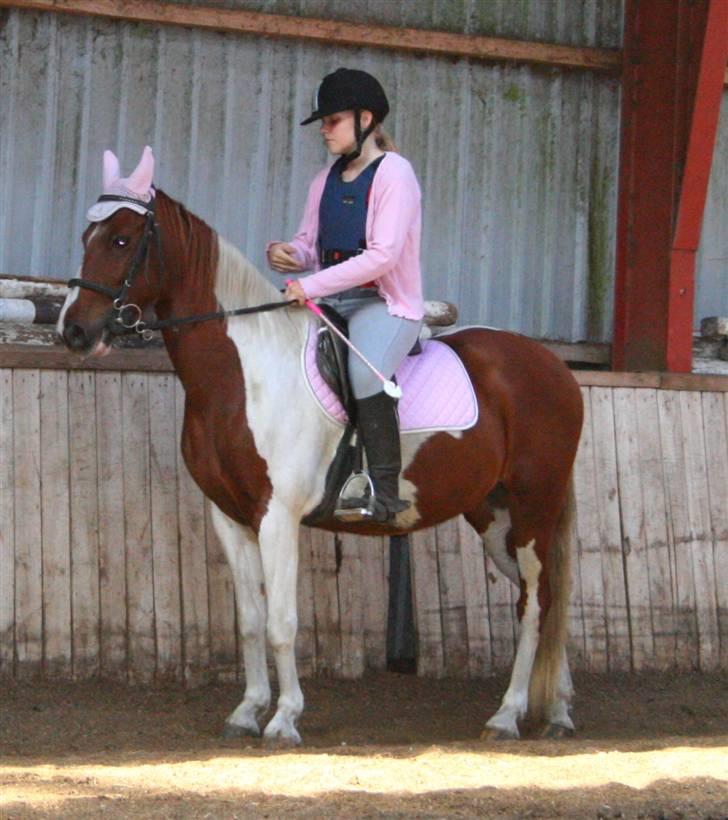 Anden særlig race Speedy (Red) - Stop xD Foto Mor billede 10