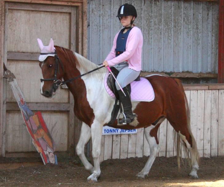 Anden særlig race Speedy (Red) - Foto Mor billede 11