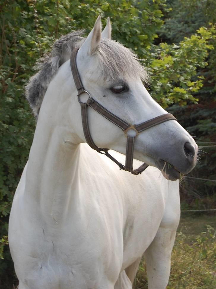 Anden særlig race Malu <33 - Malu :* billede 1