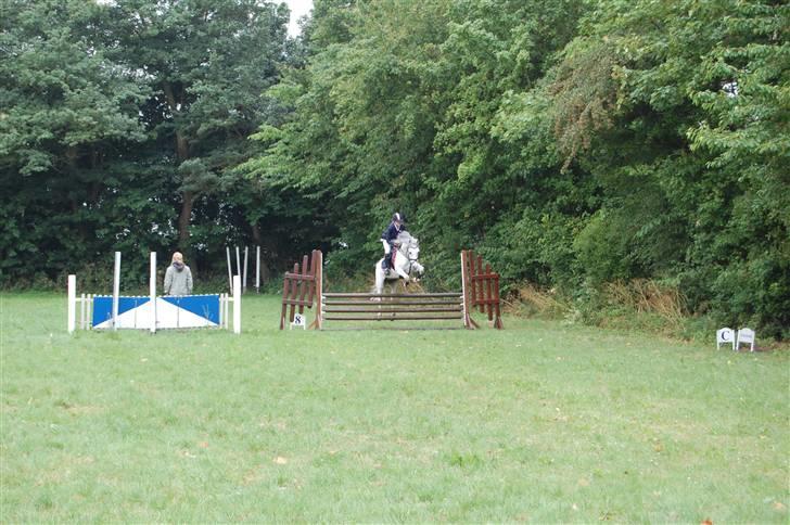 Anden særlig race Malu <33 billede 6