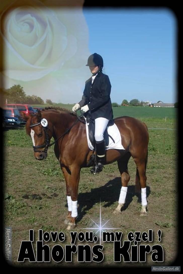 Anden særlig race Ahorns kira <3 *SOLGT* - der var lige en der var så sød og lave dette billede til os (; <3  billede 16