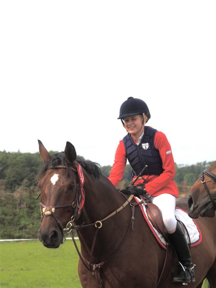 Dansk Varmblod Enghøjgaard M. Masson.  - Mig og madsen vandt en  LC :D billede 1