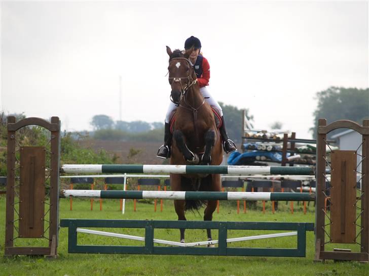 Dansk Varmblod Enghøjgaard M. Masson.  - Madsen og Mig i en LB :D billede 2