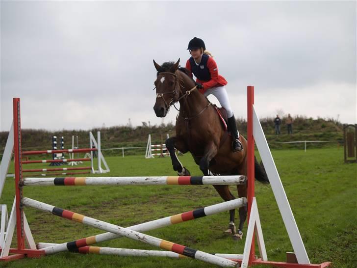 Dansk Varmblod Enghøjgaard M. Masson.  - Madsen og Mig i en LB :D billede 3