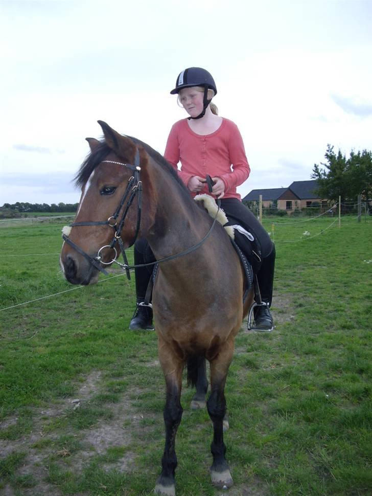 Anden særlig race CHIVAS - første tur igen billede 8