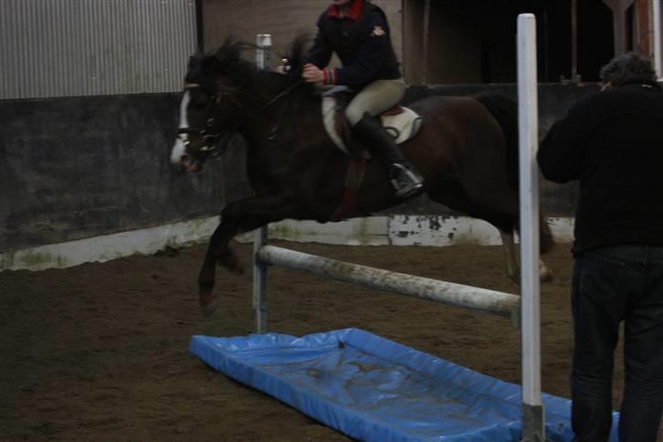 DSP Princess *SØSTERS* - UHHH, vand. Til springtræning. billede 5