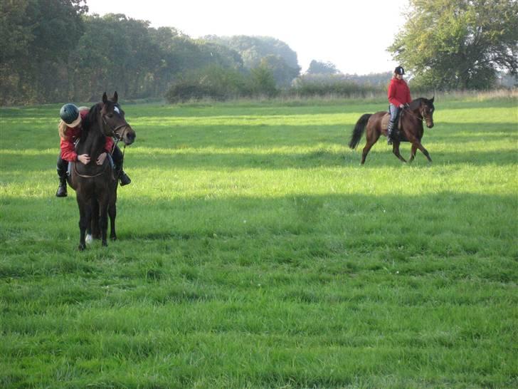 Anden særlig race Daisy RIP - første ridetur på Daisy siden jul sidste år, nøj det var sjovt:P Elsker den pony<3<3 billede 17
