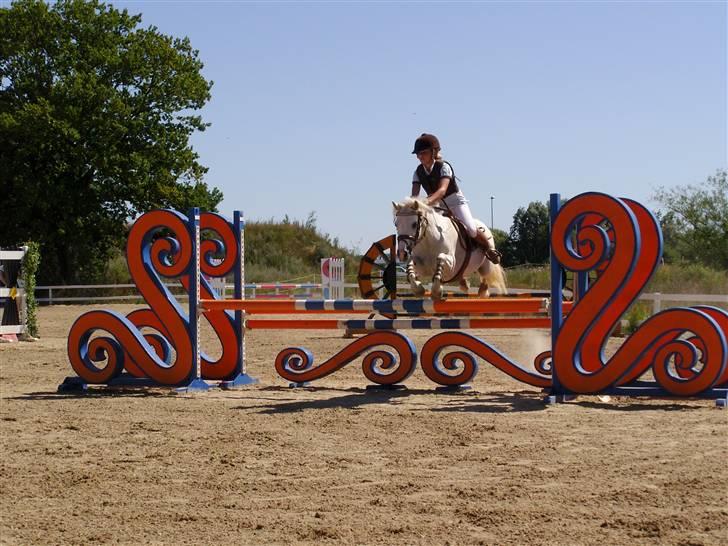 Anden særlig race Rævhalegårds Snowstar - På HIS, Flyver. :-) billede 20