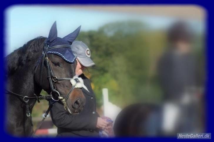 New Forest Egeballes Nitrat (SOLGT) - Smukke Tritte med hut foto: hanne rasmussen billede 17