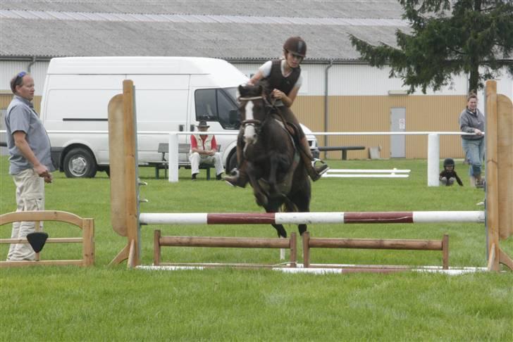 DSP Princess *SØSTERS* - Til spring på græsset ude på SLR. billede 6