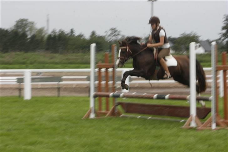 DSP Princess *SØSTERS* billede 7