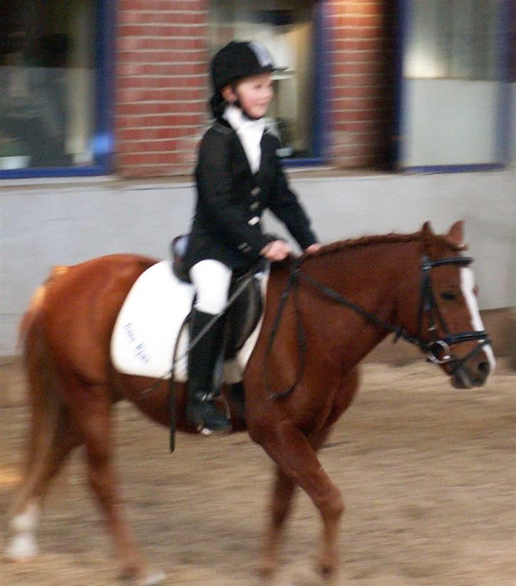 Anden særlig race Mackie - her er vi på vej op ad midten for sidste gang billede 7