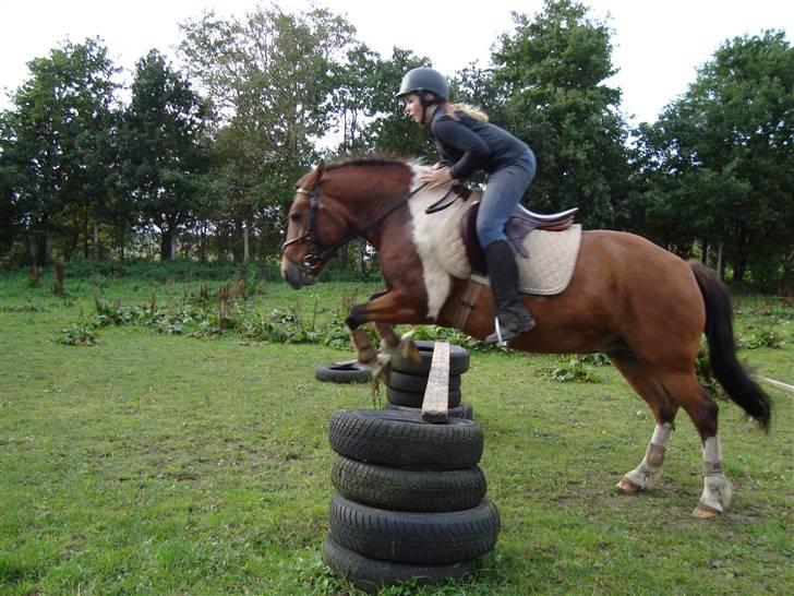 Anden særlig race Victoria - Vi skulle lige have et billede hvor vi sprang.. Jeg ser bare latterlig ud.. ;-) billede 16