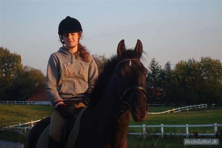 Anden særlig race Trinity C  - PÅ marken *september 2008* billede 13