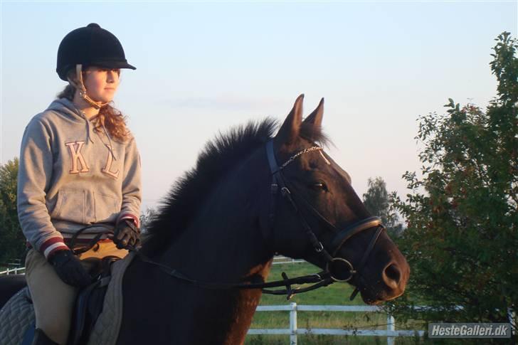 Anden særlig race Trinity C  - På marken *september 2008* billede 14