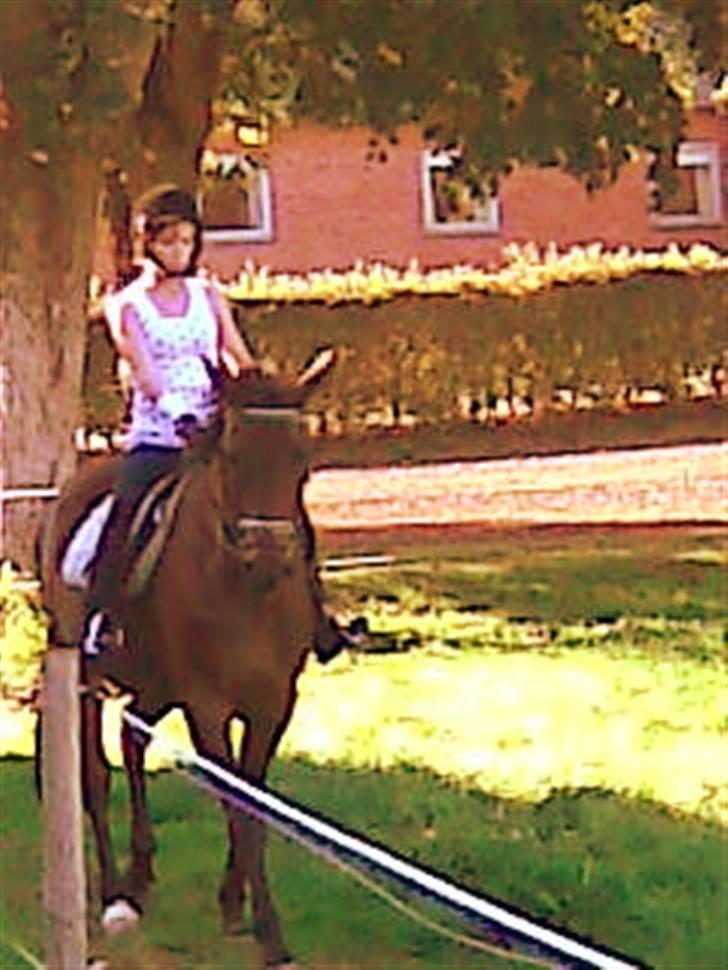 Anden særlig race Danny billede 2