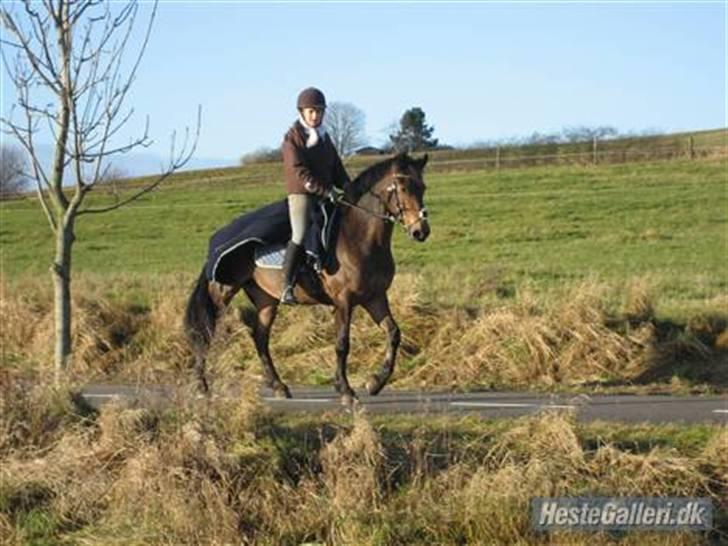 Anden særlig race Victoria - På tur :b<3 billede 19