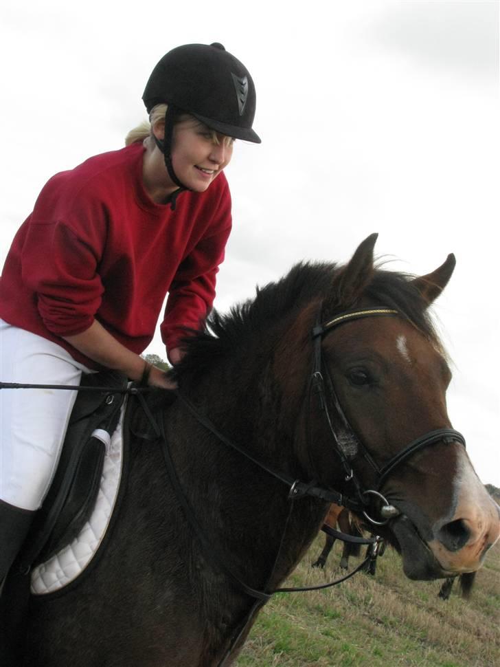 Anden særlig race Pinocchio SOLGT - Nokken er tændt. Taget under en jagt. billede 18