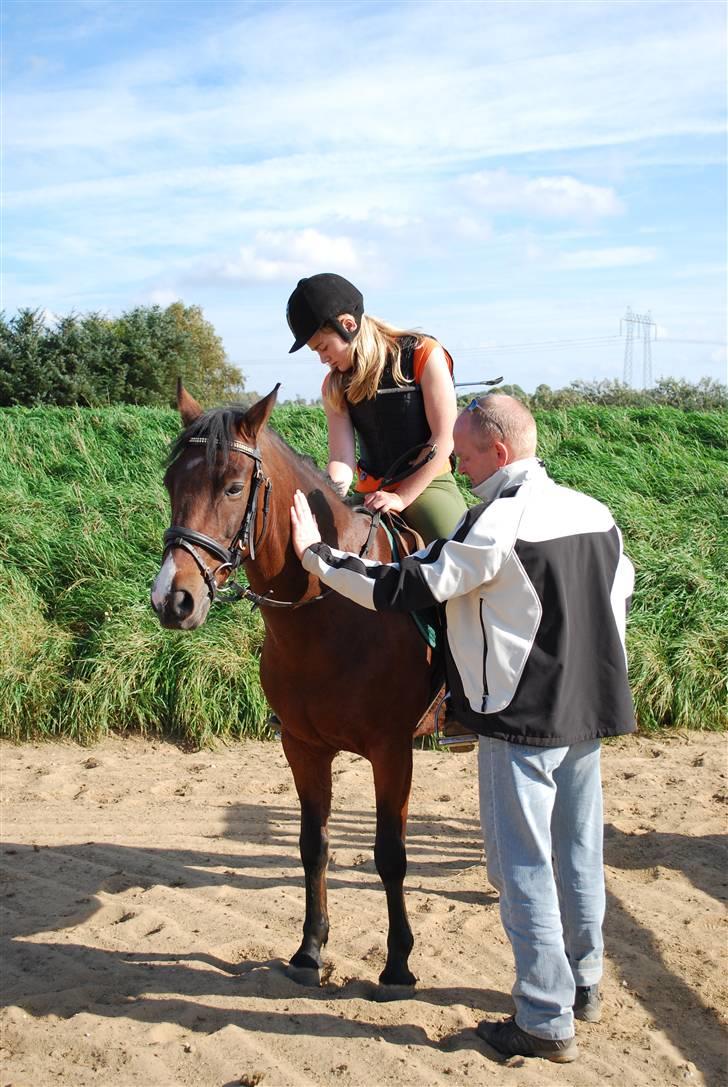 Hollandsk Sportspony Cupido<3 - ude ved benny hansen, min far faldt OGSÅ for dig skat <3 ;) foto mor<3 billede 3