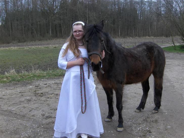 New Forest Pichan R.I.P. - Only you and me .. True love! billede 7